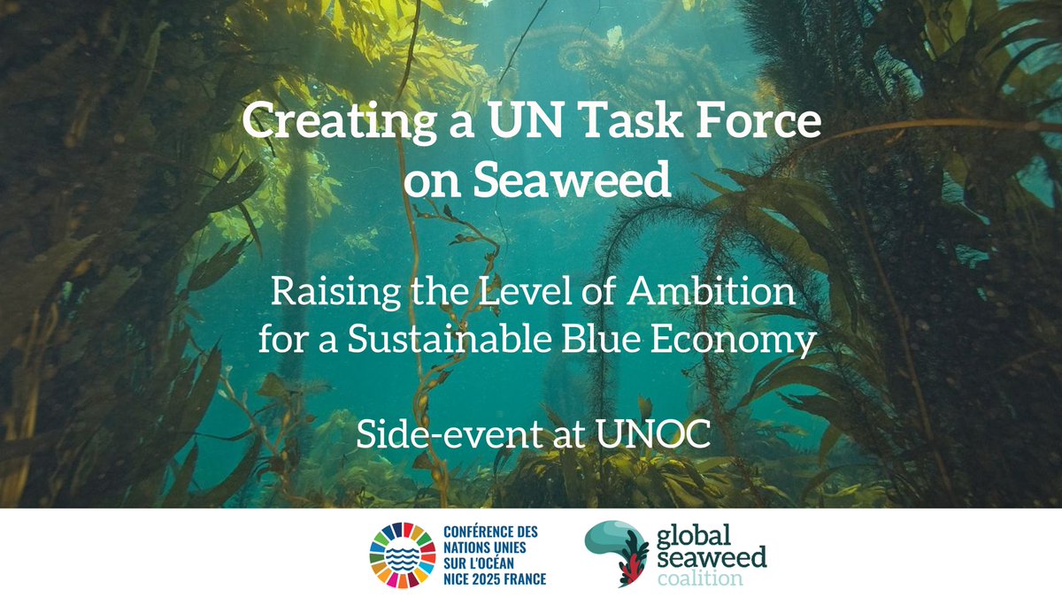 “Creating a UN Task Force on Seaweed: Raising the Level of Ambition for a Sustainable Blue Economy”, official in person side-event in the Blue Zone during #UNOC in Nice, France

📅Friday 13 June
🕓8.45-10AM CET
📍Room 4, Conference Venue

➡️safeseaweedcoalition.org/unocsideevent/

🌊🌊🌊