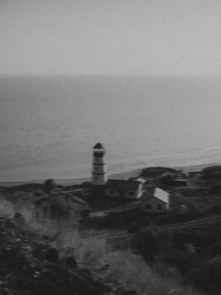 徐, ARÉZ. tweet media