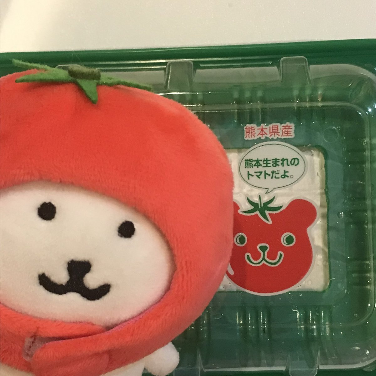 달달한 쿠마짱 토마토🍅