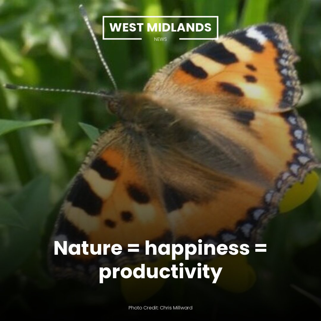 Nature = happiness = productivity: westmidlands.news/nature-happine…

#Nature #Butterflies #Insects #WestMidlands #WestMidlandsNews #WestMids #WestMidsNews