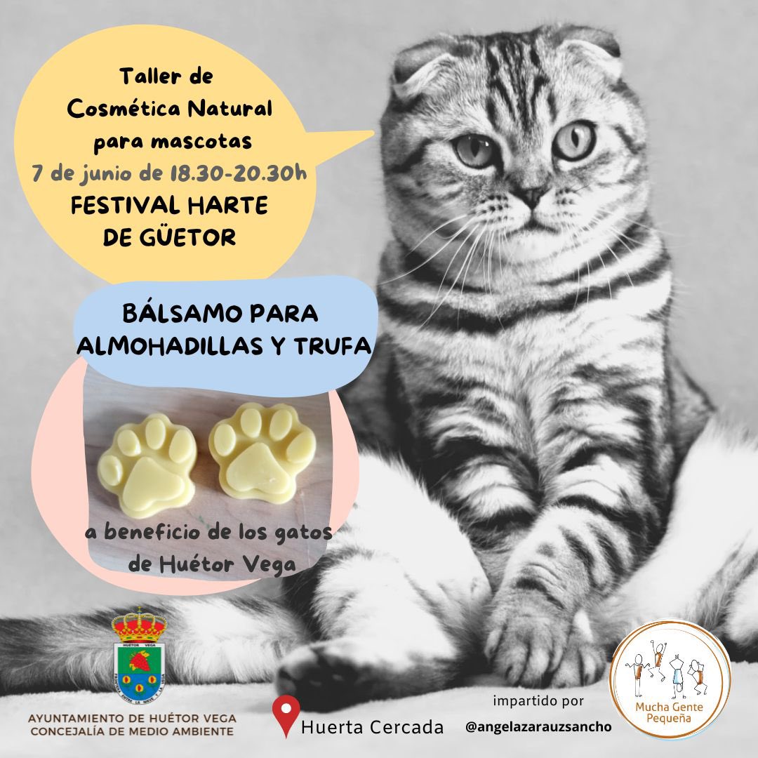 🌸Taller de Cosmética Natural para Mascotas

🗓️7 de junio  
⌚️De 18:30h a 20:30h
📍En el Festival hArte de Güétor  

✅Beneficio a favor de los gatos de Huétor Vega  

Concejalía de Medio Ambiente
#AyuntamientoDeHuétorVega