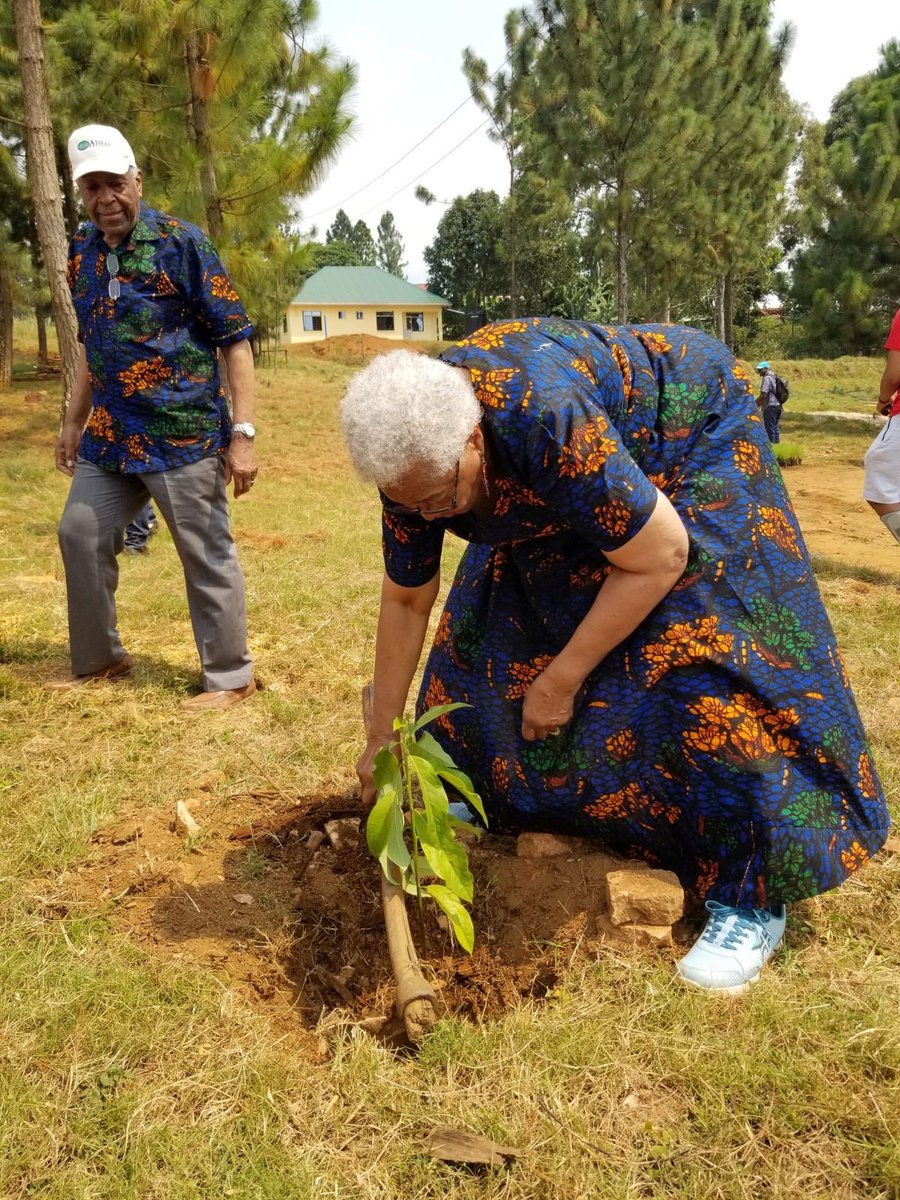 Sustainability meets healthcare. Our agriculture🌾 programs feed families and support better nutrition across Tanzania. aheadinc.org/projects/agric… 🇹🇿 #SustainableDevelopment #FoodSecurity