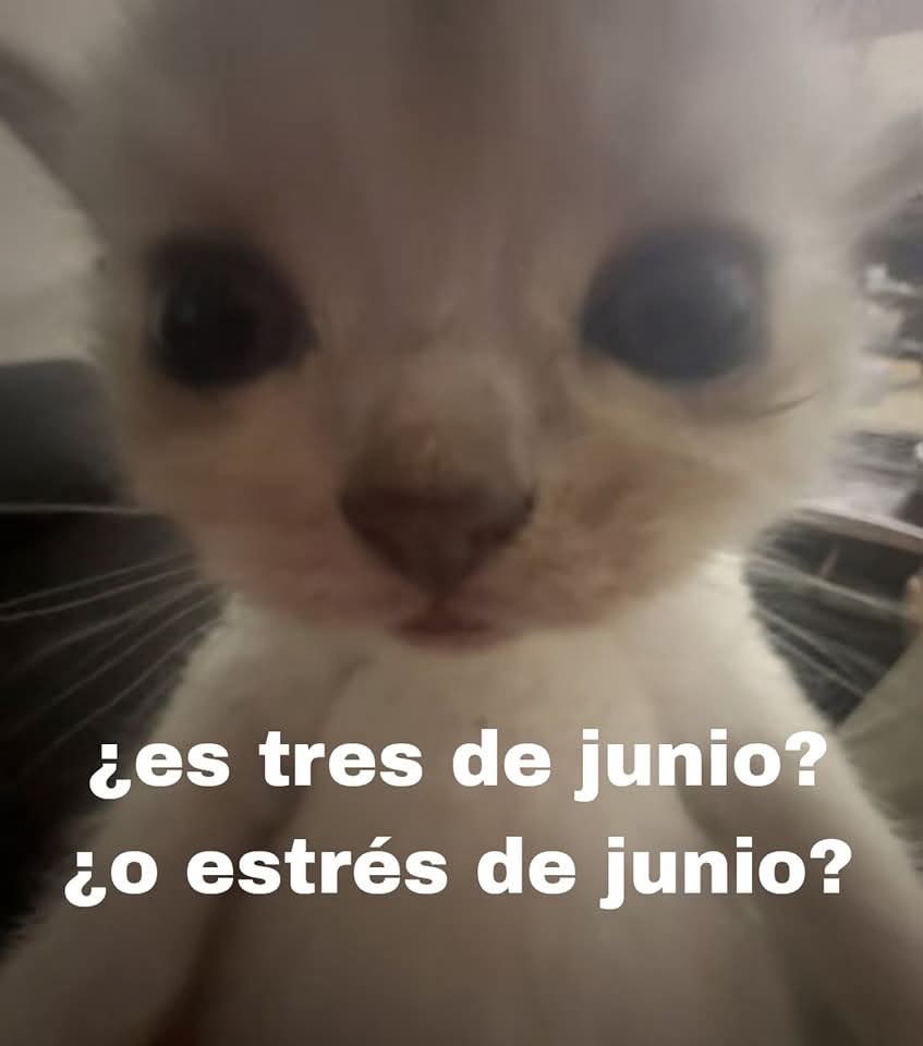 ☁️ (@yun_765) on Twitter photo 