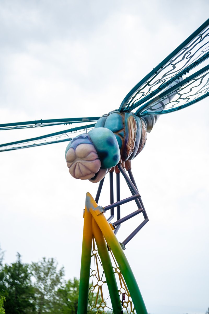Nimbly, the final Vivid Creatures sculpture has officially landed at the Arboretum 🐉🪰!

🌈 Plan your flutter around the Arb to see Vivid Creatures: bit.ly/3Eh9h43.