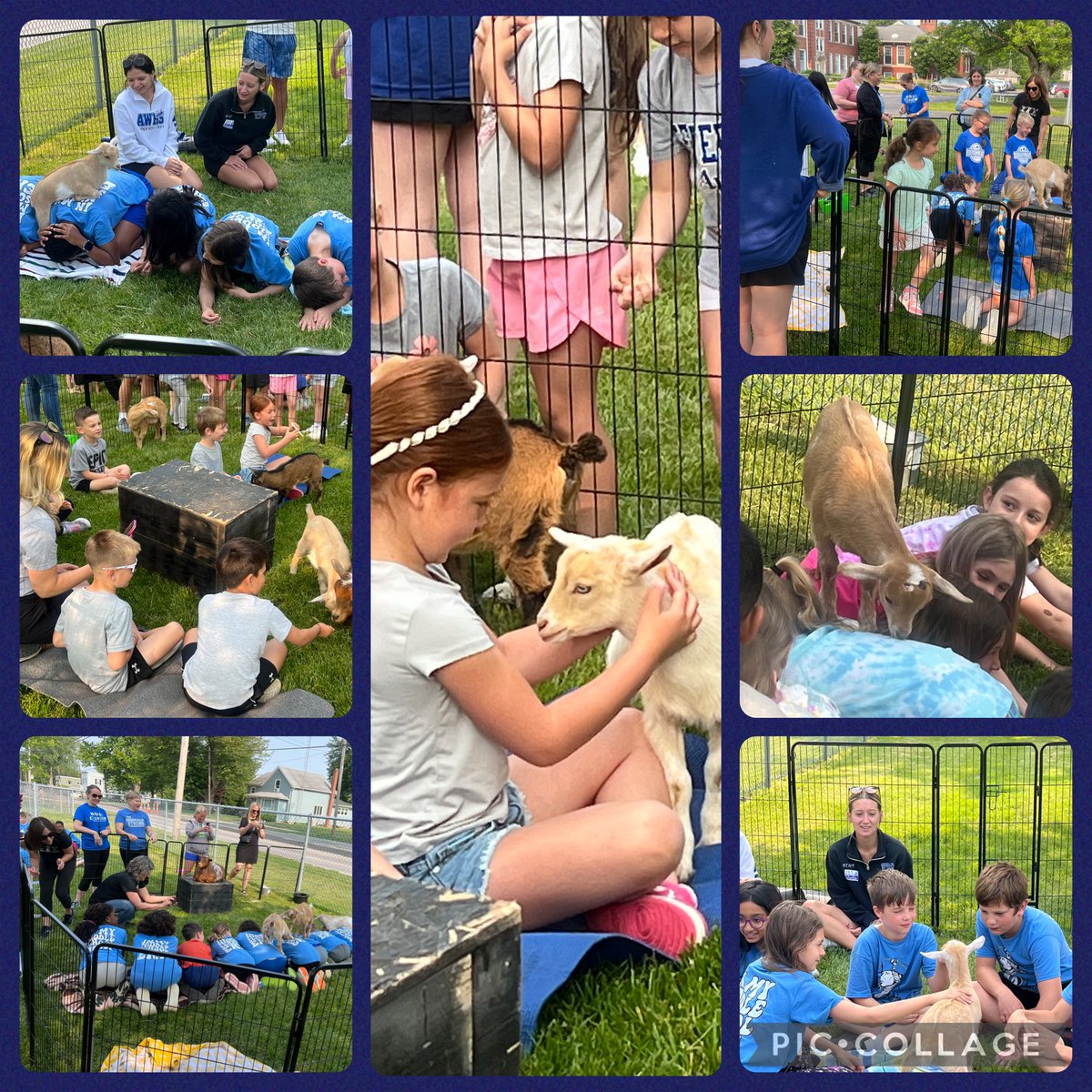 New addition this year! Goat 🐐 yoga!  Thank you Mrs. Harrigan for sharing your goats with us!