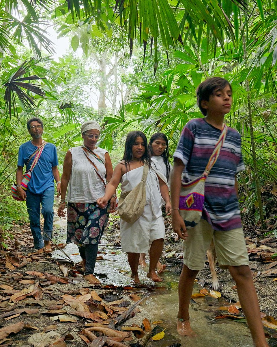 The only way to truly give Nature a voice is through collective participation, where each of us becomes a steward, shifting from domination to care and strengthening a sense of belonging and community.

Environmental protection is entering a new era where everyone has both the