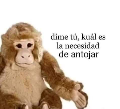 carmeliiru's tweet image. Buenos días 🫶🏼 #PoderosoHúmedo