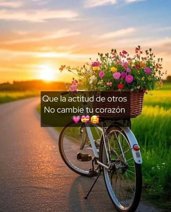 33gonzoLp's tweet photo. Así es feliz martes https://t.co/coDk2nvyEx