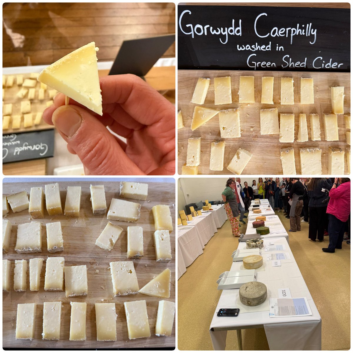 Pangbourne Cheese Shop (@pangcheeseshop) on Twitter photo We are at the finals of the #AffineurOfTheYear, organised by the <a href="/cheese_academy/">Academy of Cheese</a> . Our Caerphilly has been maturing over the last 3 months and it’s not long until we find out what the judges think…! #cheese We are at the finals of the #AffineurOfTheYear, organised by the <a href="/cheese_academy/">Academy of Cheese</a> . Our Caerphilly has been maturing over the last 3 months and it’s not long until we find out what the judges think…! #cheese