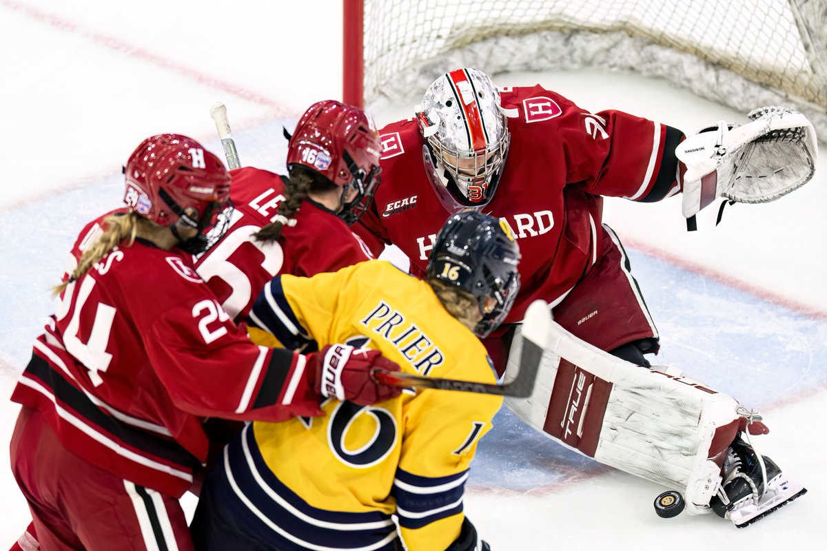 Some 𝒆𝒍𝒊𝒕𝒆 snaps of our goalies 📸

#GoCrimson x #OneCrimson