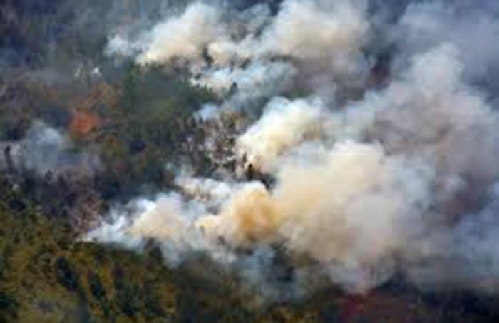 🔥⚠️Registran en Cuba 290 incendios de enero a mayo.

➡️Solo durante los primeros cinco meses del año, el Cuerpo de Guardabosques de Cuba (CGC) registró 290 incendios en su mayoría concentrados en cinco territorios del país.

🔗 acortar.link/XpxJ77