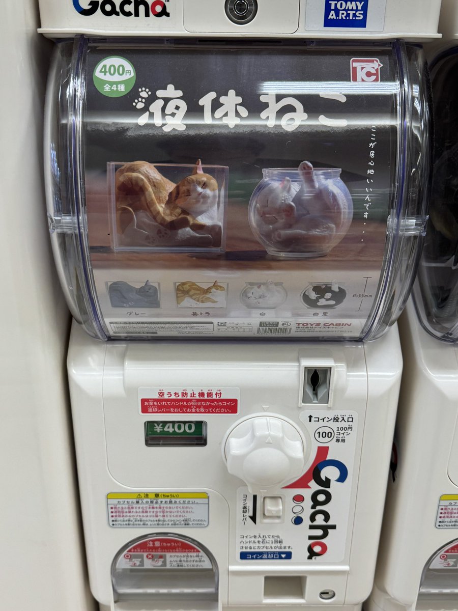 Japón con jamón 📖 tweet media