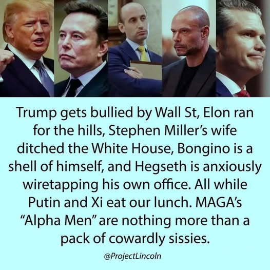 ConManTrump's tweet photo. @EndWokeness No amount of squirrel will remove the Fascist stink off of Trump. https://t.co/XLepwJxwMe