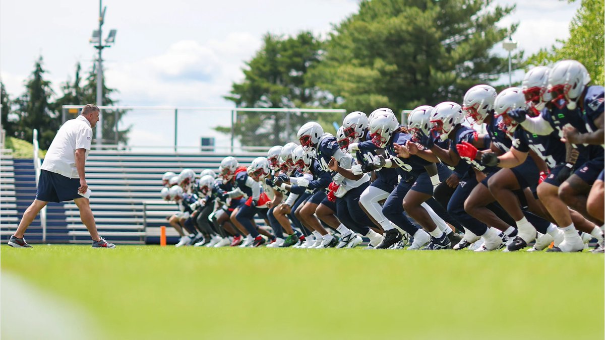 _JosephManning's tweet image. 100 men vs a gorilla.

(📸: @EricJAdler)