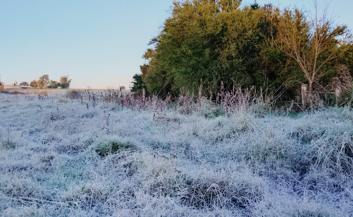 .<a href="/DespertateUy/">Despertate.</a> San José! ⛄