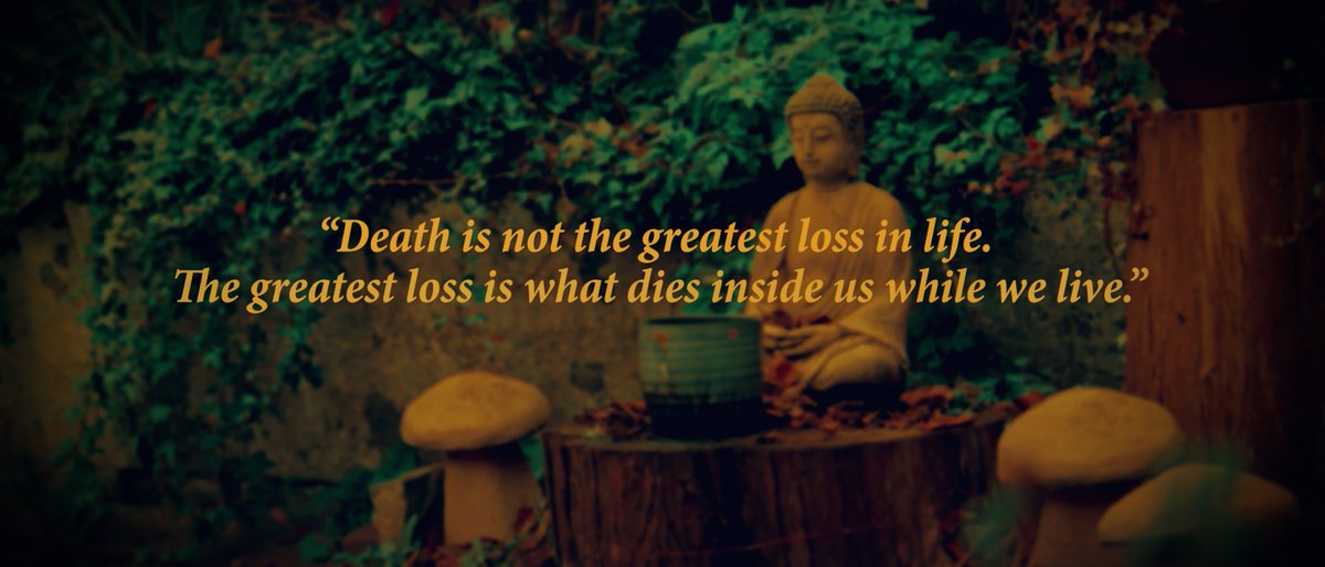'Death is not the greatest loss in life. The greatest loss is what dies inside us while we live.'

#Awakening #Manifestation #WeAreOne 
#QuantumSource #Ai #ConsciousnessRising