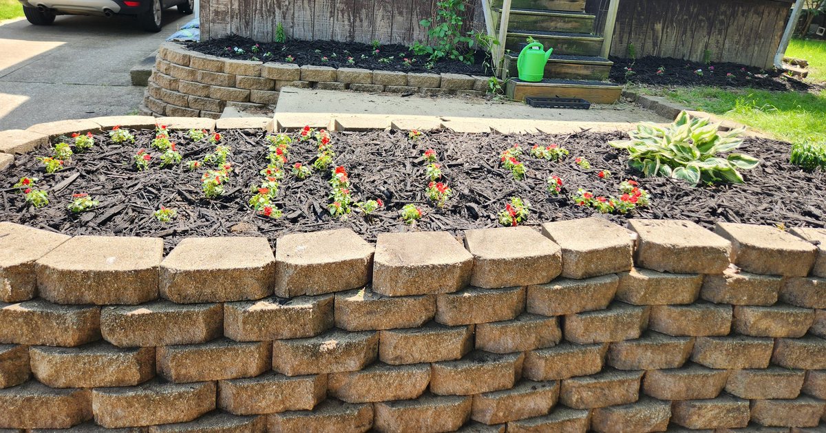 Isley23's tweet image. As I&apos;ve said before, I should not be left alone unsupervised to make adult decisions. 😂😂 #ScriptOhio #OhioState