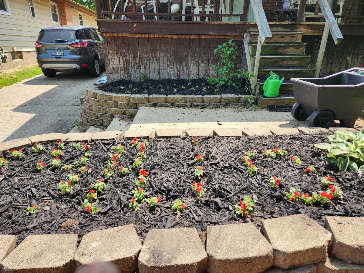 Isley23's tweet image. As I&apos;ve said before, I should not be left alone unsupervised to make adult decisions. 😂😂 #ScriptOhio #OhioState