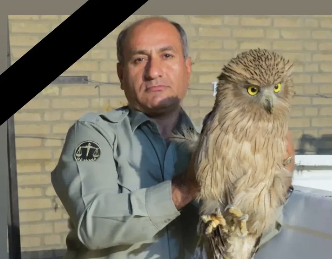 امروز #هدایت_دیدبان محیط‌بان کوه خائیز در درگیری با شکارچیان به ضرب گلوله به شهادت رسید.