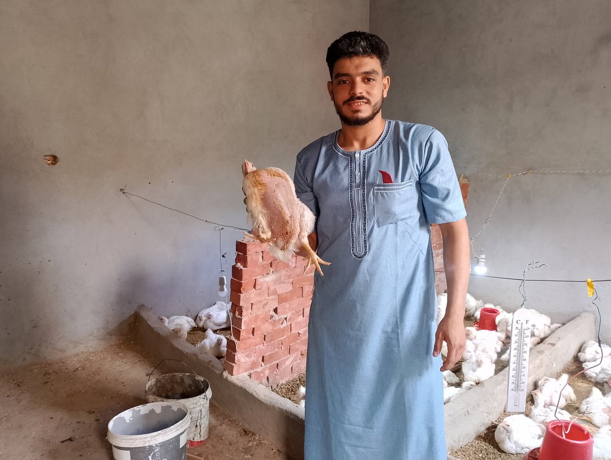 قاعد ببيع في الفراخ 
وناسي امتحان بكرة