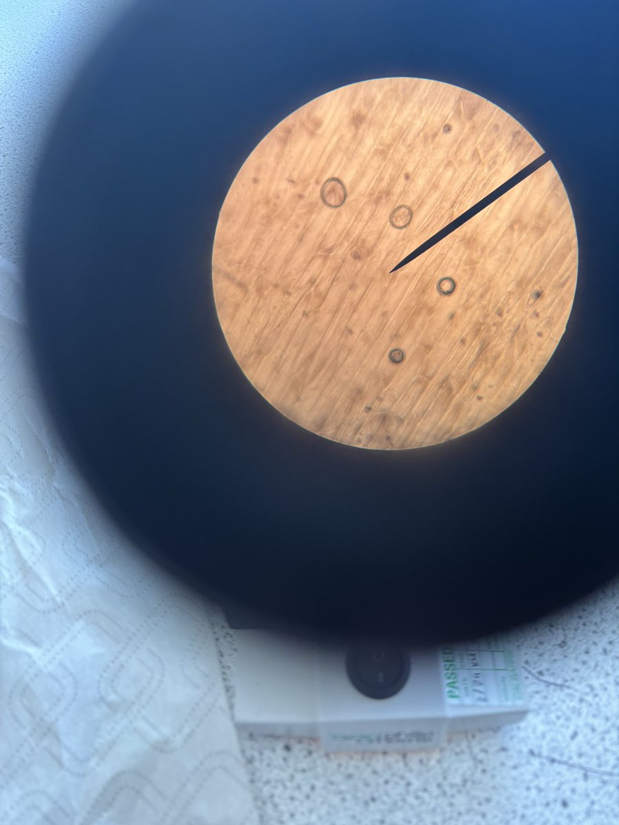 MissBall12's tweet photo. S3 have done lots of work recently looking at the structure of cells https://t.co/CiyA8CMCN4