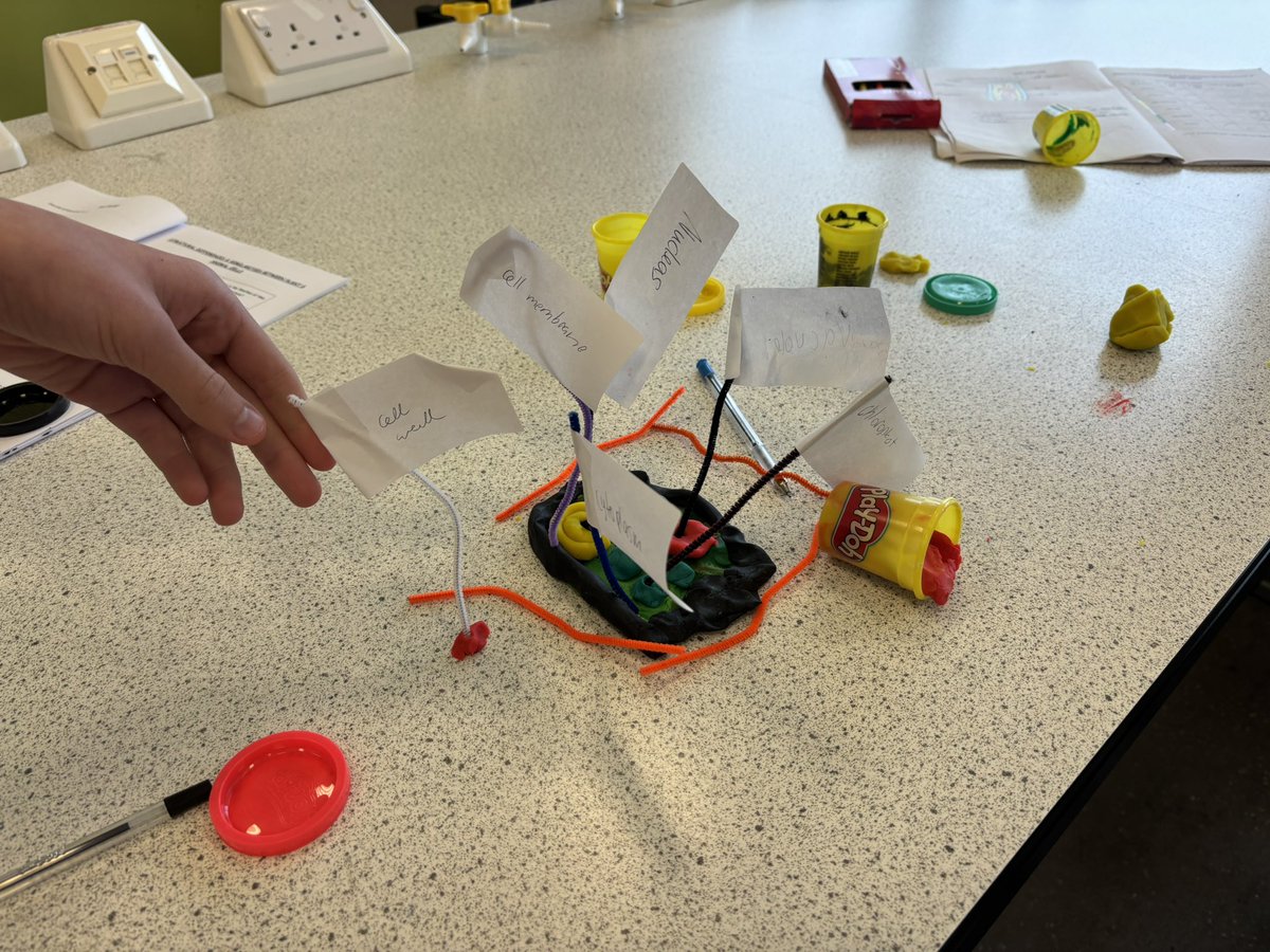 MissBall12's tweet photo. S3 have done lots of work recently looking at the structure of cells https://t.co/CiyA8CMCN4