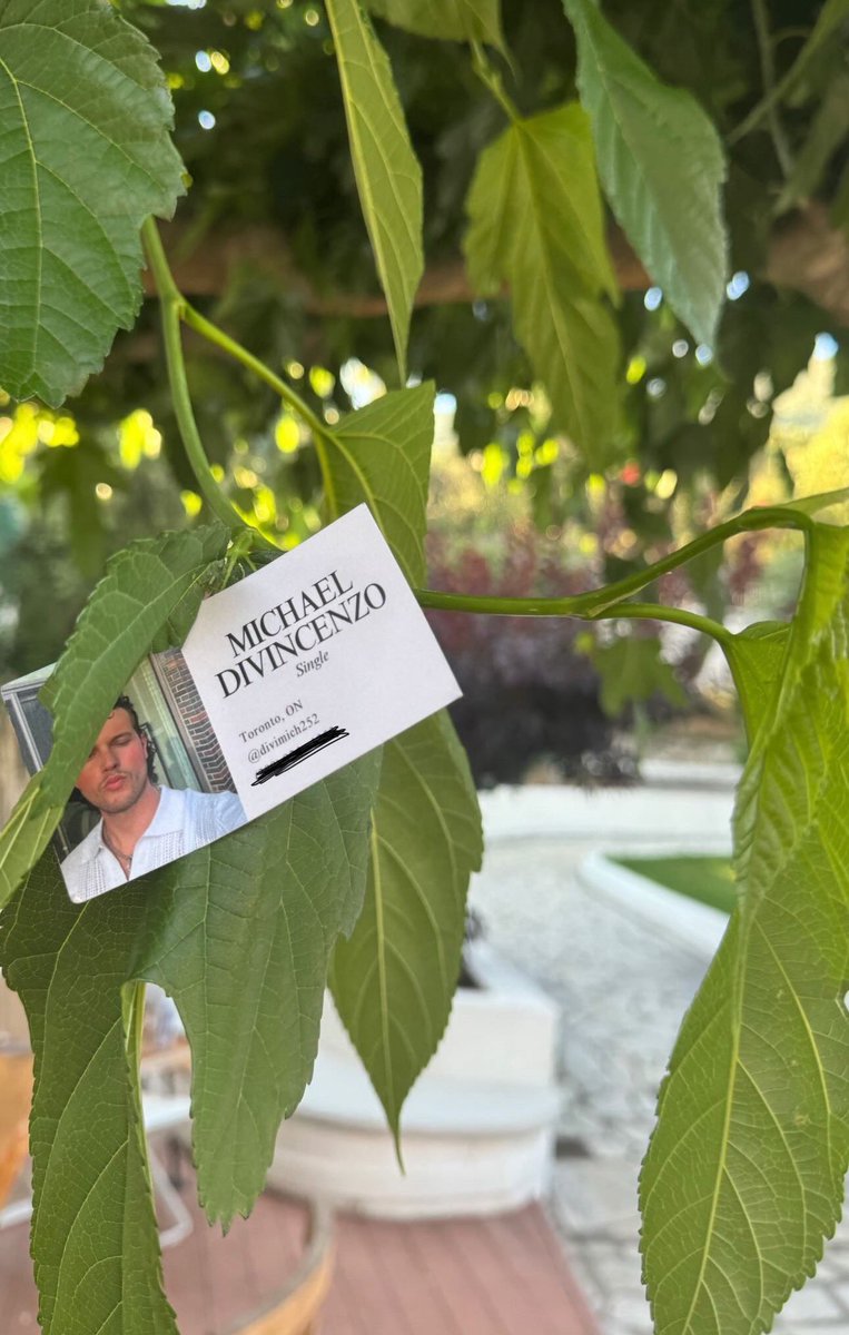 My friend made me business cards and keeps leaving them around Europe… 2 hits so far. Boyfriend 🔜