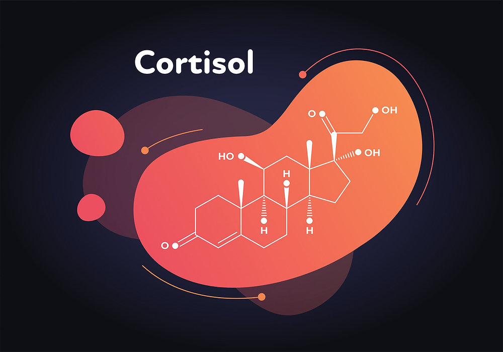 Outdoctrination's tweet photo. LOWERING CORTISOL 101
(& how to take back control of your stress, sleep, and anxiety):

STRESS SYMPTOMS YOU MIGHT MISS:

➞ Can’t fall or stay asleep
➞ Frequent urination, foamy pee
➞ Anxiety, heart pounding, jitters
➞ Cold fingers, nose, and toes
➞ Gut issues: nausea, constipation, reflux
➞ PMS, cramps, hair loss
➞ Weight gain (especially belly)
➞ Sweet cravings, low appetite
➞ Twitching, itchiness, headaches
➞ Low confidence, mood swings

HOW THE STRESS SYSTEM WORKS:

➞ Brain perceives threat → amygdala → hypothalamus
➞ HPA Axis: CRH → ACTH → Cortisol (adrenals)
➞ Sympathetic Nerves → adrenaline + noradrenaline
➞ Also involves: serotonin, histamine, estrogen, prolactin, inflammation, lactic acid

TOP TRIGGERS OF CHRONIC STRESS:

➞ Low blood sugar / carb restriction
➞ Under-eating or fasting
➞ Poor gut health (LPS, serotonin, histamine)
➞ Lack of sunlight or salt
➞ Seed oils, mold, heavy metals
➞ Estrogen dominance
➞ Social isolation
➞ Chronic inflammation + mitochondrial dysfunction

FOUNDATIONAL ANTI-STRESS NUTRIENTS:

⇨ Vitamin C – lowers cortisol 35%, buffers histamine
⇨ Vitamin D – reduces cortisol + inflammation
⇨ Vitamin E – improves BP, antioxidant defense
⇨ Zinc – suppresses cortisol 70%, regulates HPA
⇨ Magnesium – calms brain + muscles
⇨ Thiamine (B1) – reduces lactic acid, boosts energy
⇨ Salt + Calcium – stop RAAS + parathyroid stress

LIFESTYLE STRATEGIES TO CALM STRESS:

➞ Bright light exposure (especially morning)
➞ Grounding + sunlight (lower inflammation + HPA activity)
➞ Diaphragmatic breathing (shifts from sympathetic to parasympathetic)
➞ Nature, pets, stimulation (not isolation or boredom)
➞ Social connection (raises dopamine, lowers prolactin)
➞ Avoiding serotonin overload (excess gut serotonin = stress)

GUT HEALING FOR STRESS RELIEF:

➞ Lower gut serotonin + histamine (via DAO, ginger, L. plantarum)
➞ Heal gut lining (butyrate, glycine, collagen)
➞ Rebalance flora (probiotics, raw carrot, raw milk)
➞ Address estrogen, LPS, and inflammation

ANTI-STRESS SUPPLEMENTS:

⇨ L-Theanine – blocks cortisol, raises GABA + dopamine
⇨ GABA – shuts down stress response (25–50mg)
⇨ Pregnenolone – inhibits CRH + amygdala reactivity
⇨ Phosphatidylserine – suppresses ACTH, cortisol, prolactin
⇨ Aspirin – lowers cortisol, estrogen, lactic acid
⇨ Niacinamide, NMN, CoQ10 – support mitochondrial resilience

ENVIRONMENTAL TOXIN STRESSORS:

➞ Seed oils (linoleic acid = inflammation, lipid peroxidation)
➞ Mold toxins
➞ Heavy metals
➞ Fluoride (neurotoxic + adrenal disrupting)
➞ EMFs (can activate stress signaling)

HORMONAL BALANCE IS KEY:

➞ Lower estrogen (with progesterone, mushrooms, carrots)
➞ Support dopamine (opposes prolactin)
➞ Raise progesterone + pregnenolone (anti-stress steroids)