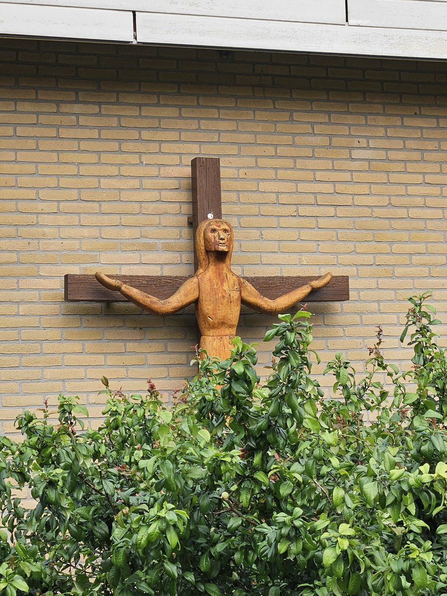 The Holy Hopper ☧ tweet media