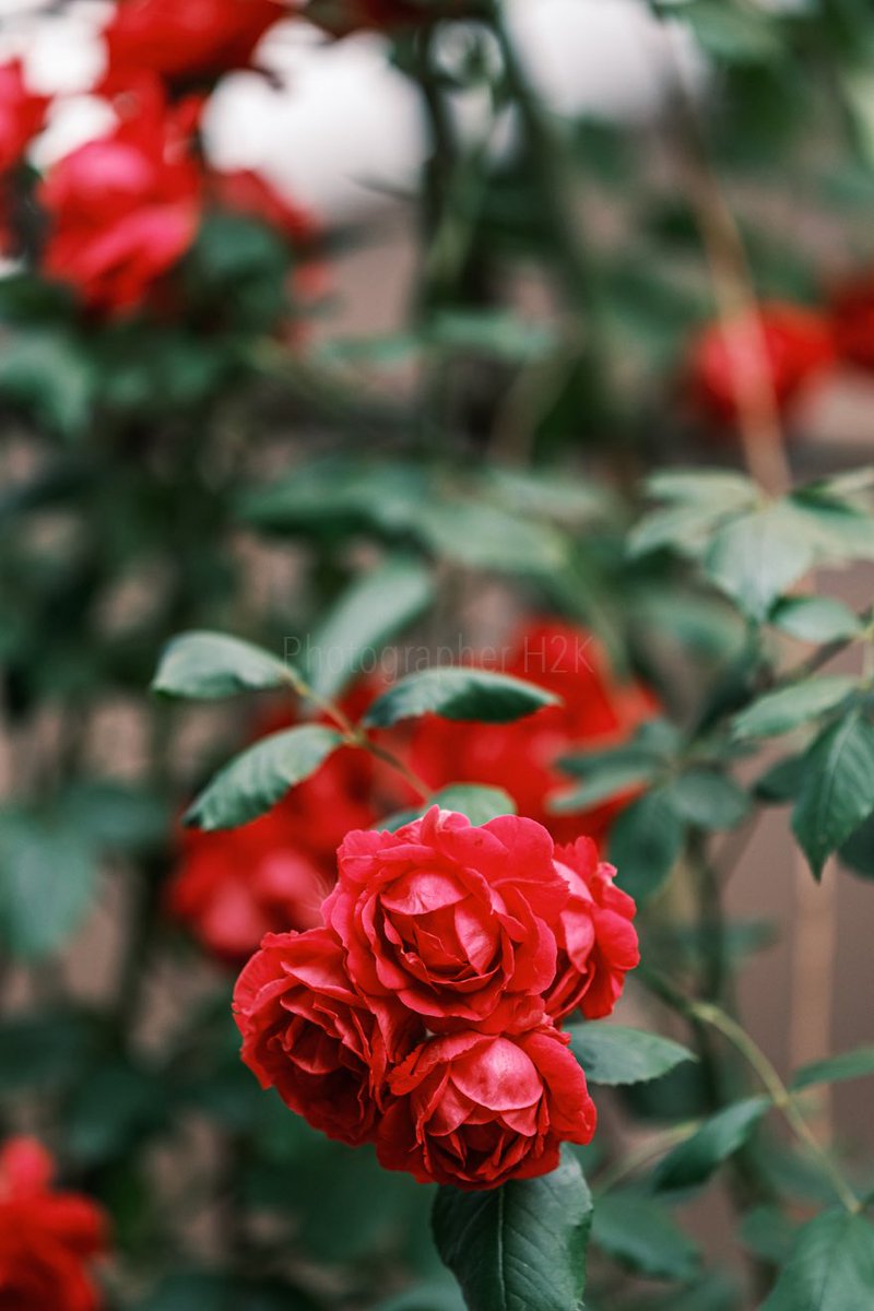 준석아! 빚잔치도 잔치란다🎉