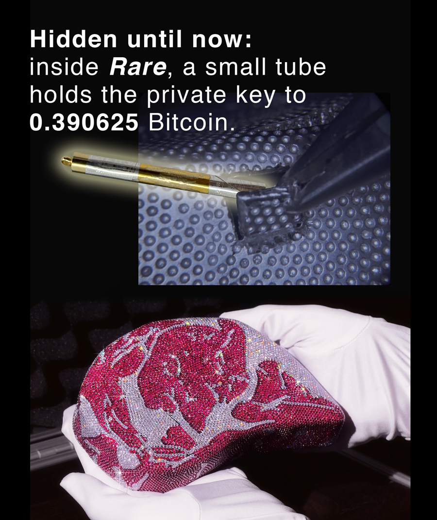 Max Mellenbruch tweet media