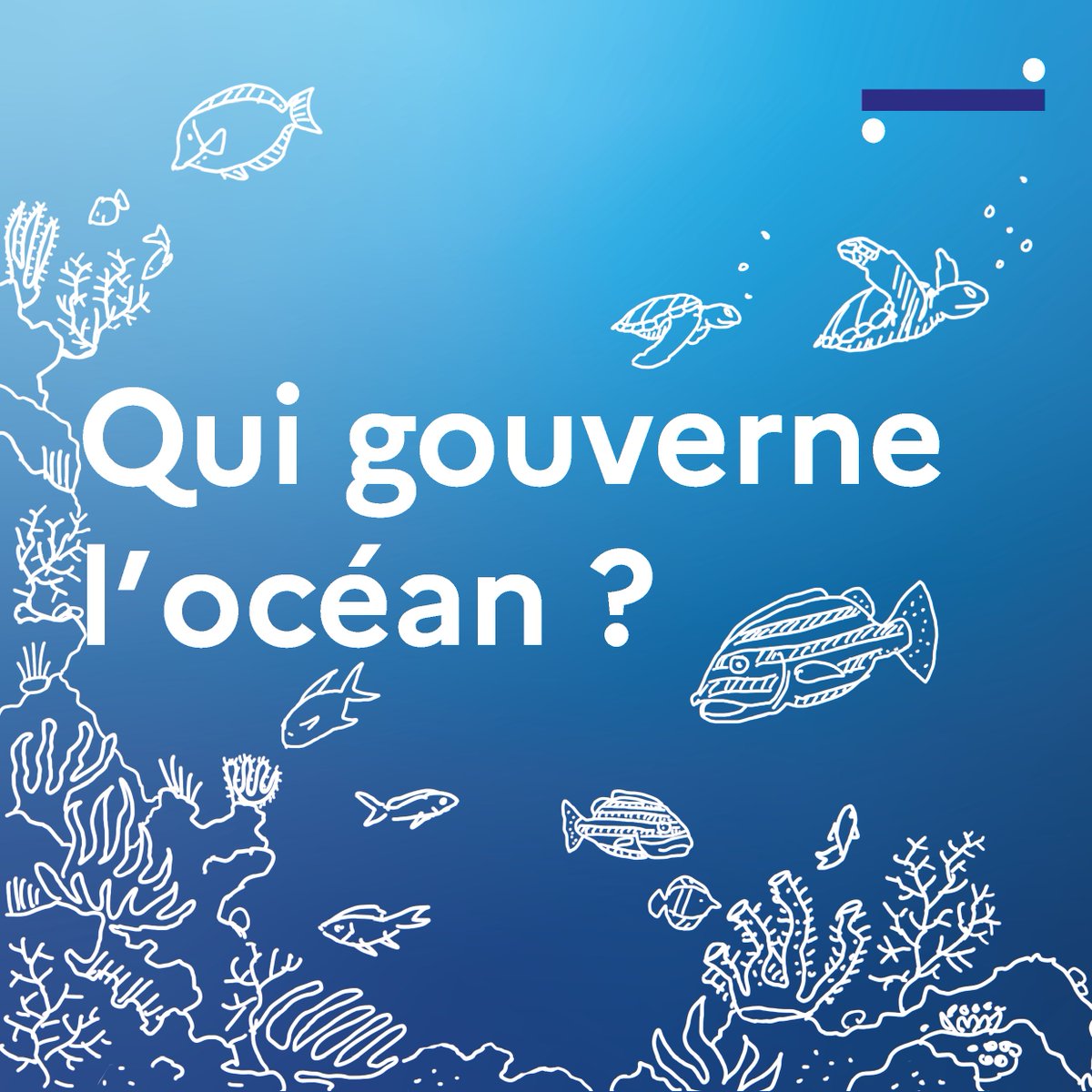 🎧 Épisode 2 – Cet accord qui peut tout changer

Pendant 20 ans, diplomates, ONG et scientifiques ont négocié un accord inédit pour protéger la haute mer : le traité BBNJ.

Une plongée dans les coulisses d’un accord aux ambitions océaniques.

#UNOC3 🔗 linktr.ee/francediplo