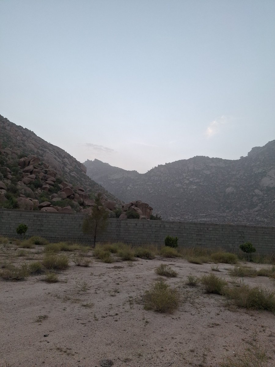 مساء الخير...