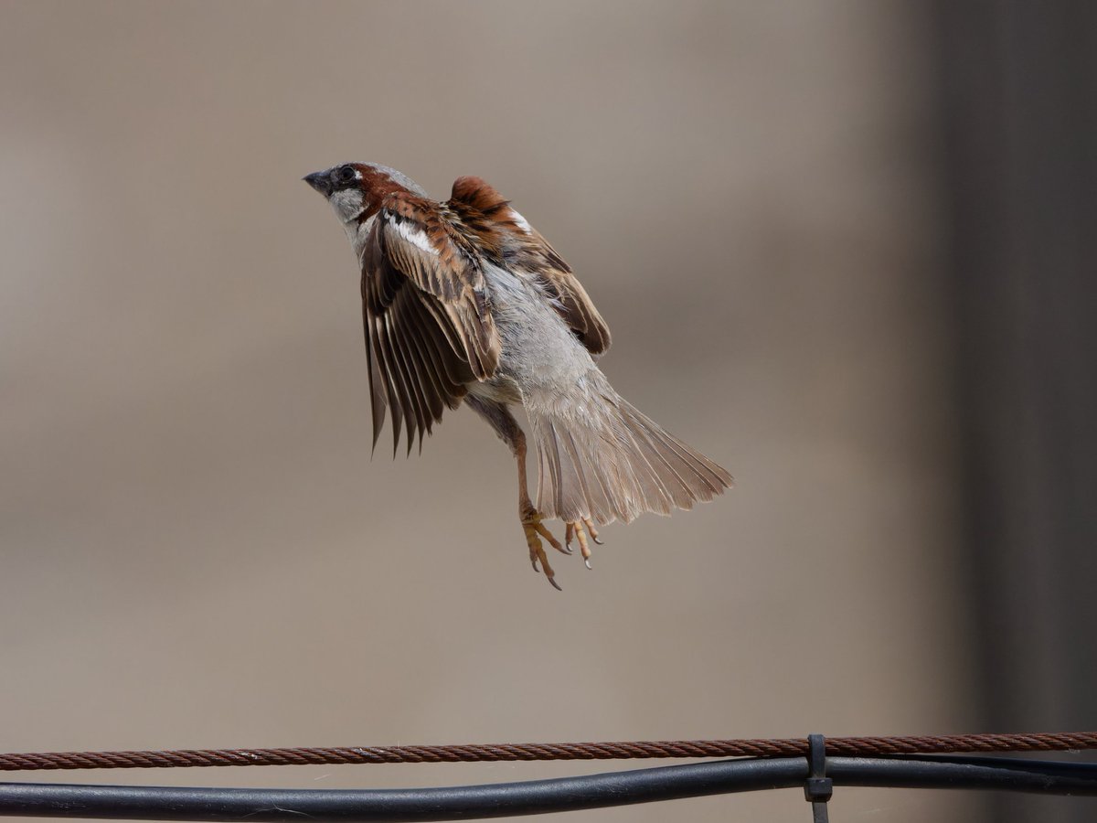 Seguimos con los experimentos 🤘🤘