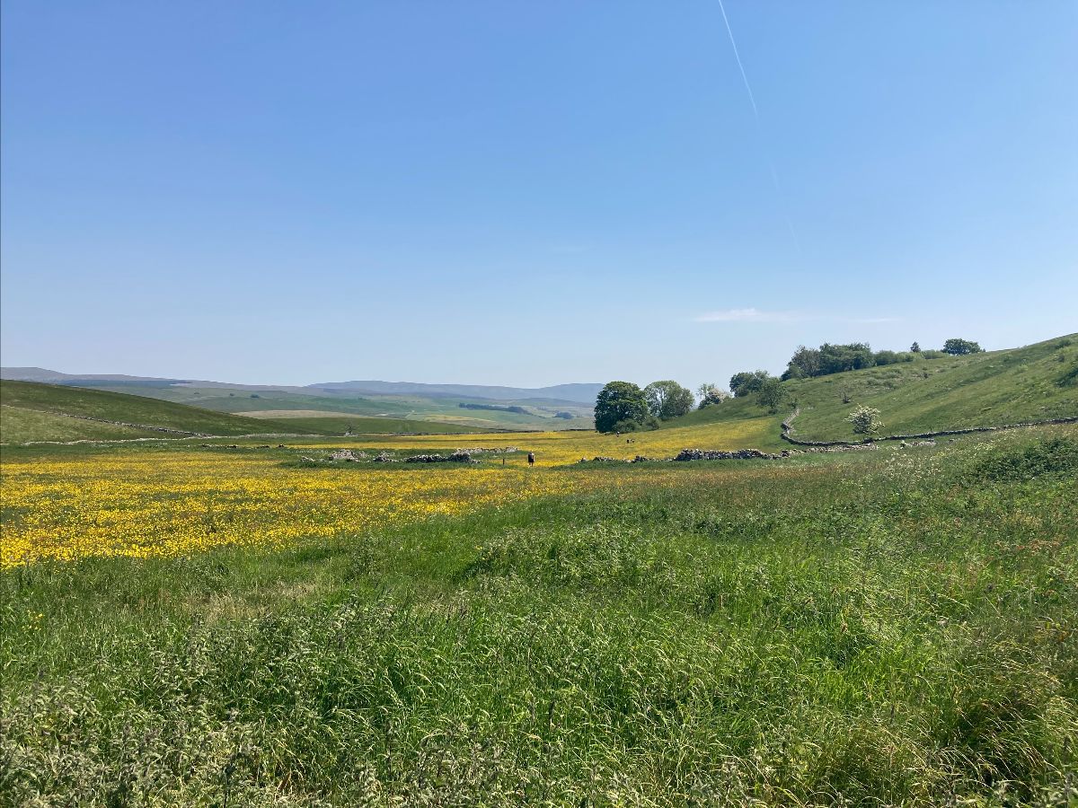 Here is our June environmental news and event update! - mailchi.mp/5cd696b93fa2/l…
#YorkshireDales
If you like what you read - you can sign up on our website homepage to receive it direct to your inbox.