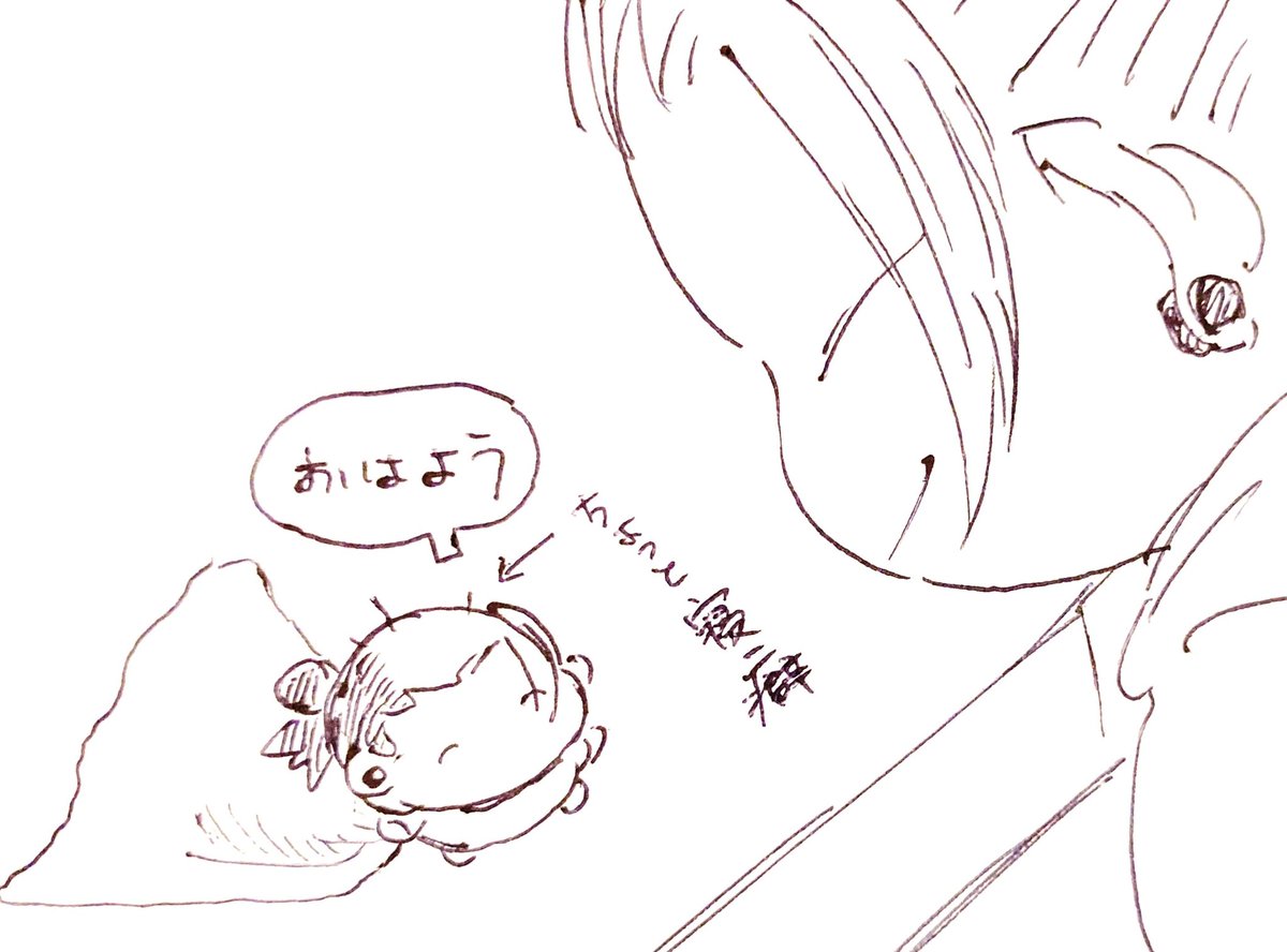 ushiroda_log's tweet image. ぬいさんらくがき/再掲