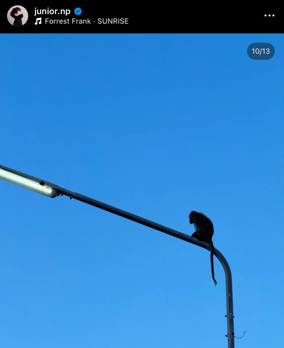 พี่จูไปเที่ยวกับโชกุนหรอ