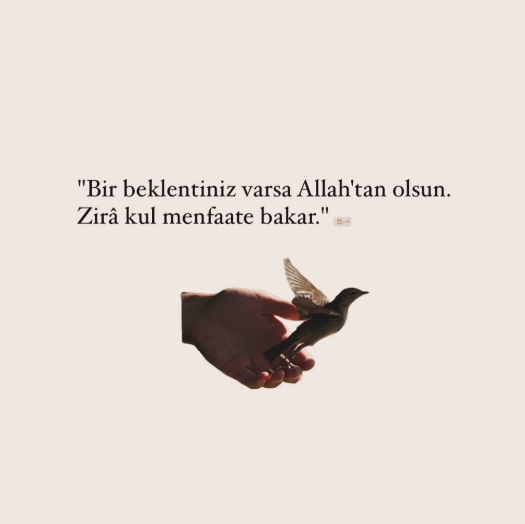 BalSezgen's tweet photo. https://t.co/wZwfygUrQf