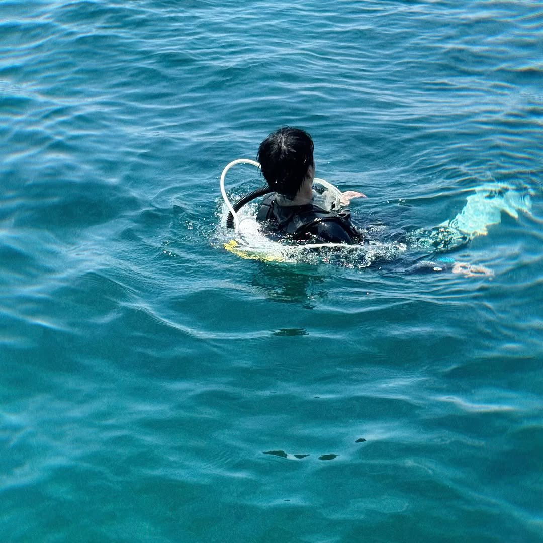 𝙁𝘼𝙁𝙄𝙇𝙈☆♡°(rest) tweet media