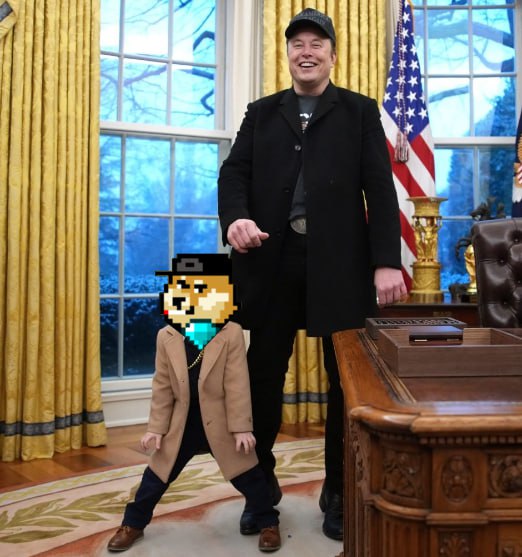 Don't fade #Doginals <a href="/elonmusk/">Elon Musk</a> 🐶🚀

<a href="/minidogeart/">Mini Doge</a> is the first 10k art collection inscribed on $Doge 💎

Sub 25K rares inscriptions numbers 👀🔥

#MiniDoges #MiniDoge #MiniDogeArt #NFTs #Crypto #Bitcoin #Dogecoin #ElonMusk