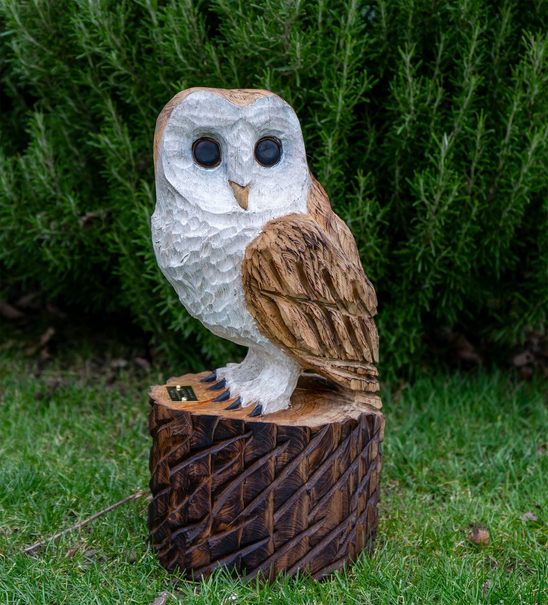 One of my ever-popular Barn Owls. With that white stain, they really pop in a shaded corner of the garden.