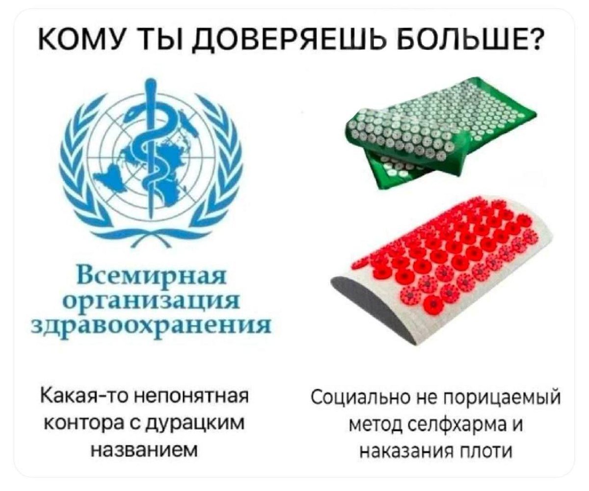 Дантес (@dantesdmitriy) on Twitter photo 