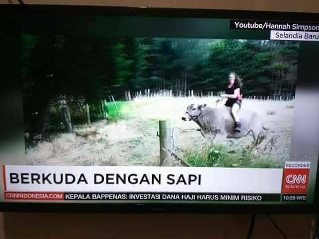 edelshwre tweet media