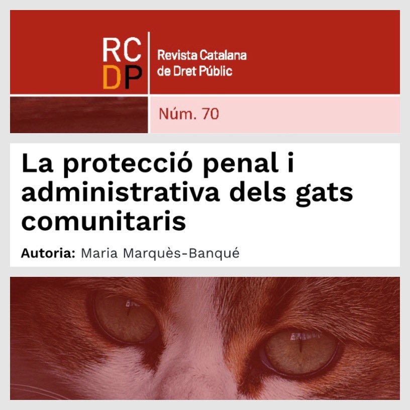 Maria Marquès Banqué tweet media