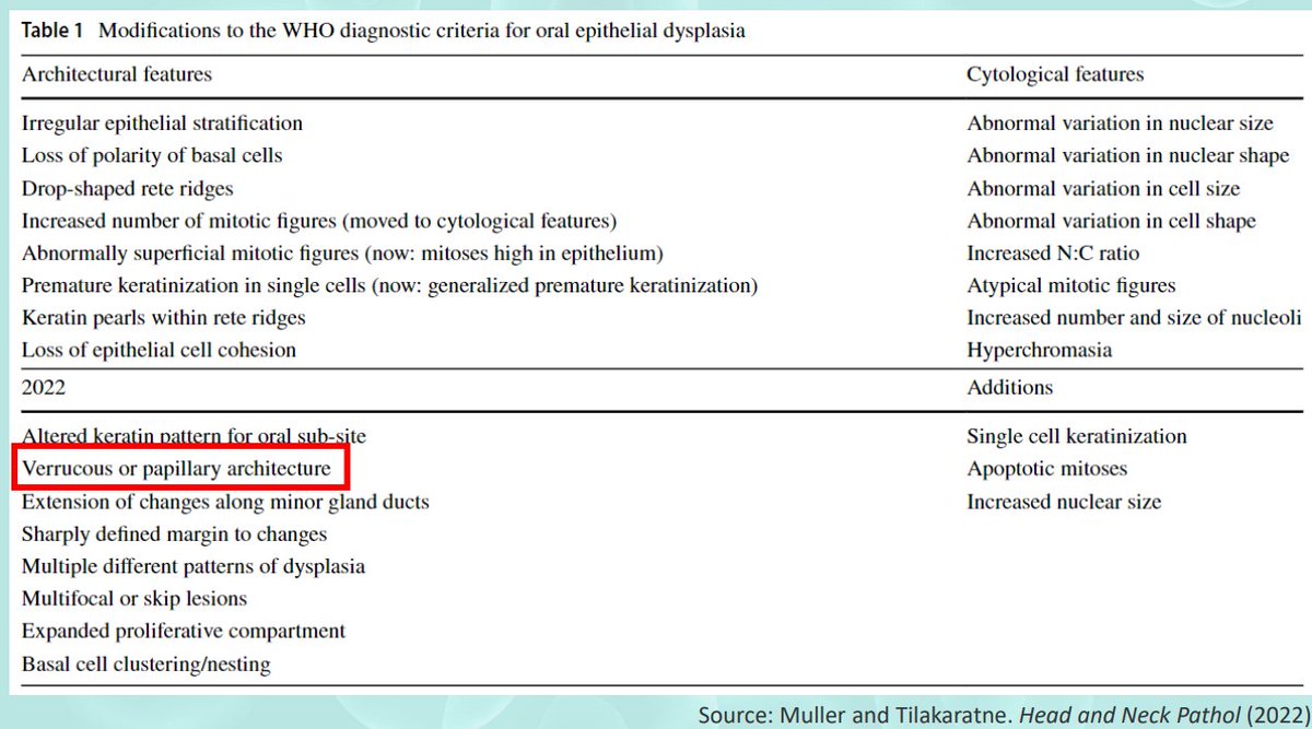 Oral epithelial dysplasia
WHO-2022: 3-tiered grading system
Defining dysplasia grade only in this manner oversimplifies the complexity of grading

Cytological atypia confined to the basal third may be sufficient for a diagnosis of severe dysplasia, depending on individual