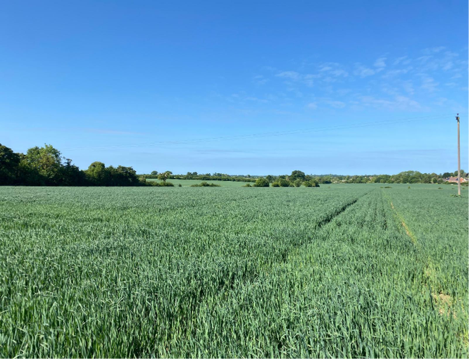 Steven McAllister (@stevenwhites123) on Twitter photo 