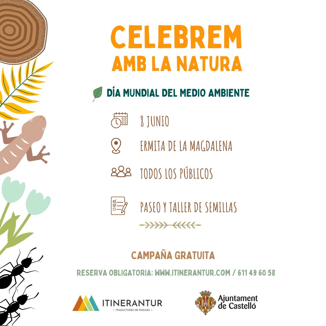 🌿 ¡Celebra el #DíaMundialDelMedioAmbiente en familia!
El 8 de junio, disfruta con <a href="/Itinerantur/">Itinerantur</a> de paseo interpretativo y taller de semillas en la Ermita de la Magdalena, #Castellón.

👉 Más info y reservas: tourandkids.com/es/evento/con-…

#TourAndKids #PlanesEnFamilia <a href="/VenACastellon/">Castellón Turismo</a>