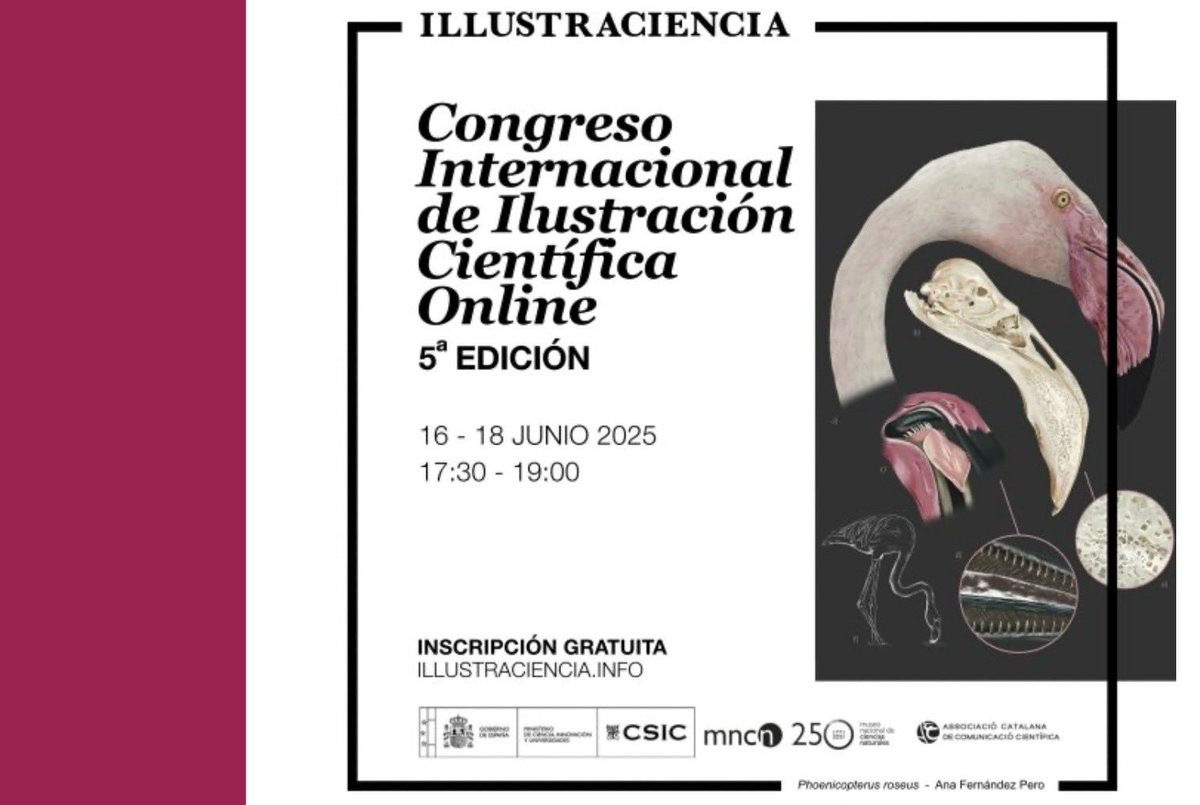 Fernando A. Navarro (@navarrotradmed) on Twitter photo V Congreso Internacional de Ilustración Científica (en línea)
<a href="/illustraciencia/">ILLUSTRACIENCIA</a> <a href="/CSIC/">CSIC</a> <a href="/mncn_csic/">Museo Nacional de Ciencias Naturales</a> <a href="/ACCC_/">Associació Catalana de Comunicació Científica</a>, 16-18 de junio
Info: illustraciencia.info/congreso-inter… V Congreso Internacional de Ilustración Científica (en línea)
<a href="/illustraciencia/">ILLUSTRACIENCIA</a> <a href="/CSIC/">CSIC</a> <a href="/mncn_csic/">Museo Nacional de Ciencias Naturales</a> <a href="/ACCC_/">Associació Catalana de Comunicació Científica</a>, 16-18 de junio
Info: illustraciencia.info/congreso-inter…