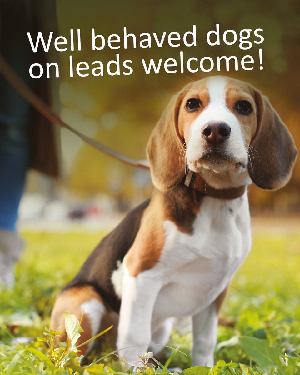 Festival of Motoring tweet media