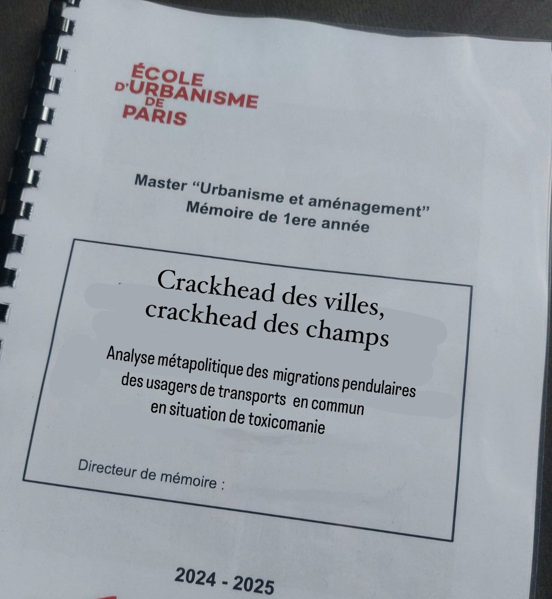 VraiconAlpin's tweet photo. Enfin terminé mon mémoire! https://t.co/5OPhm8rkI2